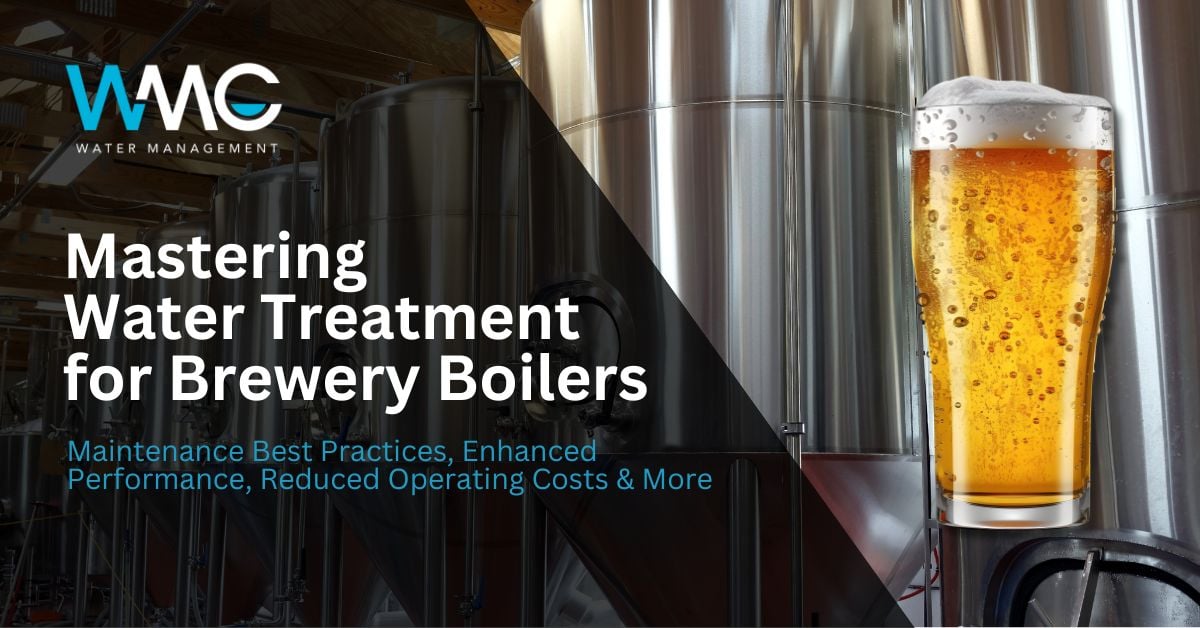 Mastering Water Treatment for Brewery Boilers